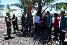 Bangun Satuan TNI AD,...