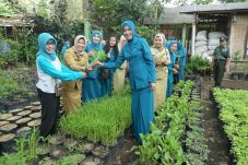 Urban Farming Berbasis...