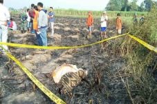 Petani di Jombang Tewas...