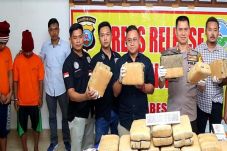169 Kg Ganja Siap Edar...