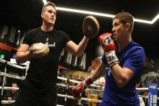 Underdog, Hearn Punya...