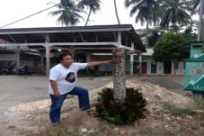 Misteri Penunggu Pohon...