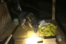 Polisi Kerahkan Anjing...