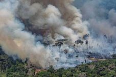 Padamkan Kebakaran Hutan...