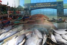 KNPI Maluku Dukung Penolakan...