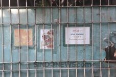 Damai Tak Pengaruhi...
