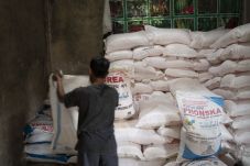 Tahun 2020 Pupuk Subsidi...