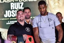 Andy Ruiz Jr: Joshua...