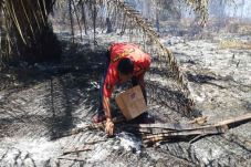 Bakar Lahan untuk Berladang,...