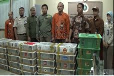 1.080 Ekor Burung Gagal...