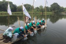 Pusat dan Daerah Perlu...
