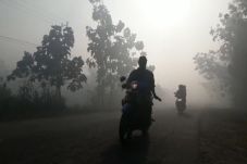 Dampak Karhutla, Kabut...
