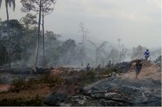 Satu Kampung di Baduy...