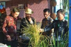 PEDA KTNA Ke-IX Diikuti...