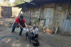 Bali Dituding Tak Becus...