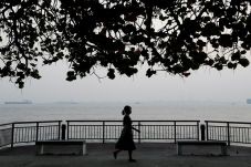 Hutan Indonesia Terbakar,...
