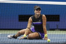 Bianca Andreescu Dibekap...
