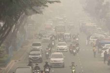 Pidanakan dan Cabut...