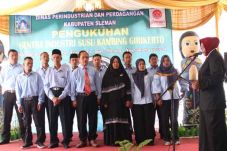 Wakil Bupati Sleman...