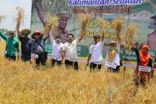 Kalimantan Selatan Berhasil...