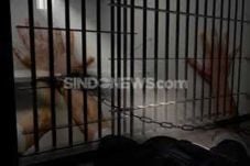 UU Pemasyarakatan Atur...