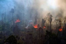 Lapan Pantau 281 Hotspot...
