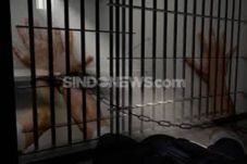 Kelelahan Sembunyi di...