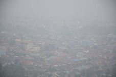 Terpapar Kabut Asap,...