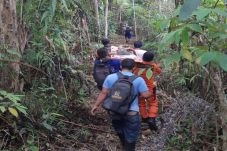 Hilang di Kebun, Tim...