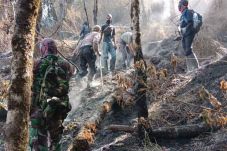 24 Hektare Hutan Gunung...