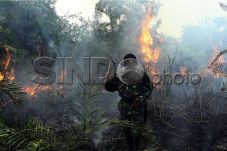 Greenpeace Diharapkan...