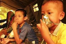 Kebakaran Hutan Indonesia,...