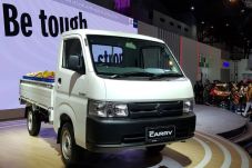 Suzuki Donasikan New...
