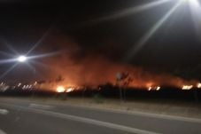 20 Hektare Areal Terbakar,...