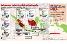 Karhutla, 3 Hari Terakhir...