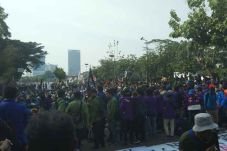 Puluhan Kader HMI Ikut...