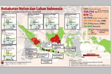 Titik Panas Turun, Kualitas...