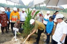 Sinar Mas Agribusiness...