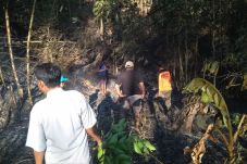 Kebakaran di Gunung...