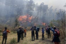 Kebakaran di Gunung...