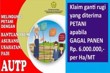 Masuk Musim Tanam, Begini...