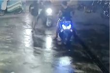 Terekam CCTV, Kawanan...