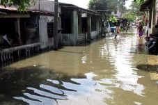 Ribuan Rumah di Medan...
