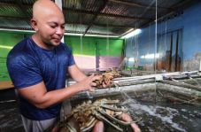 Hadirkan Sarana Perbankan,...
