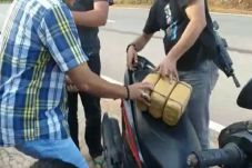 Bawa Ganja 3 Kg, Polisi...