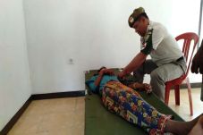 Pelayanan Kesehatan...