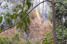 Hutan Lindung Egon Ilinmedo...
