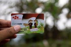 Tahun Depan, Kartu Tani...