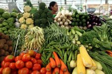 Dibuka untuk Umum, Fresh...