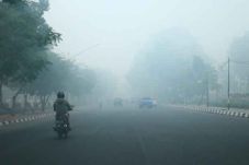 Dampak Kabut Asap, Sekolah...